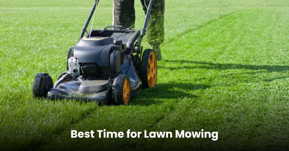 Lawn mower cutting green grass during the best time for mowing in Auckland.