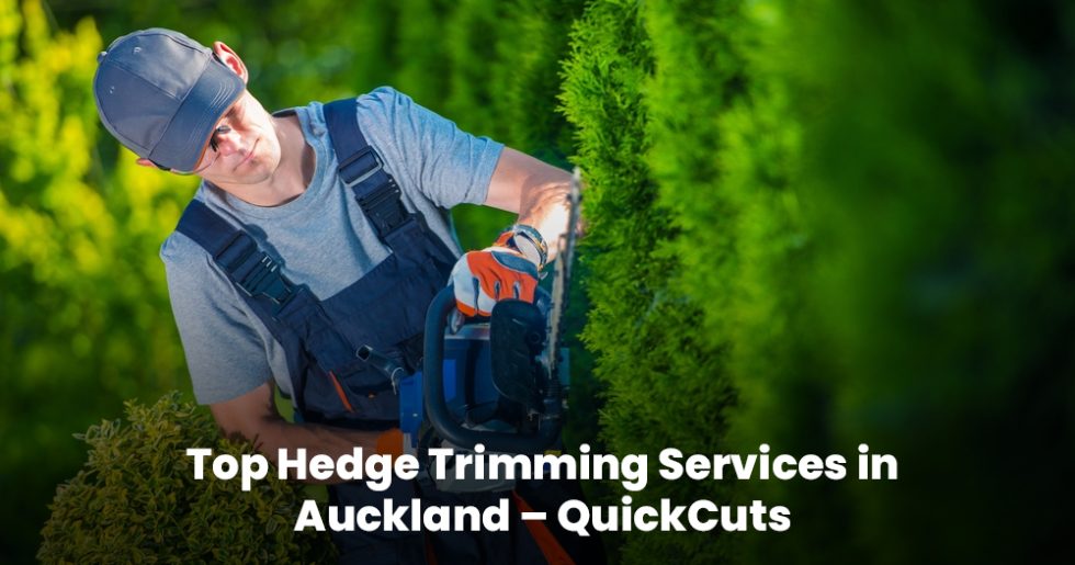 Man using hedge trimmer for professional garden maintenance in Auckland by QuickCuts.