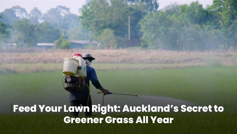 Worker applying fertilizer with backpack sprayer on a green lawn in Auckland for year-round grass health.