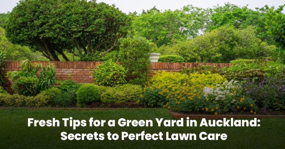 Vibrant garden with manicured lawn and colorful plants showing expert lawn care services near me in Auckland.