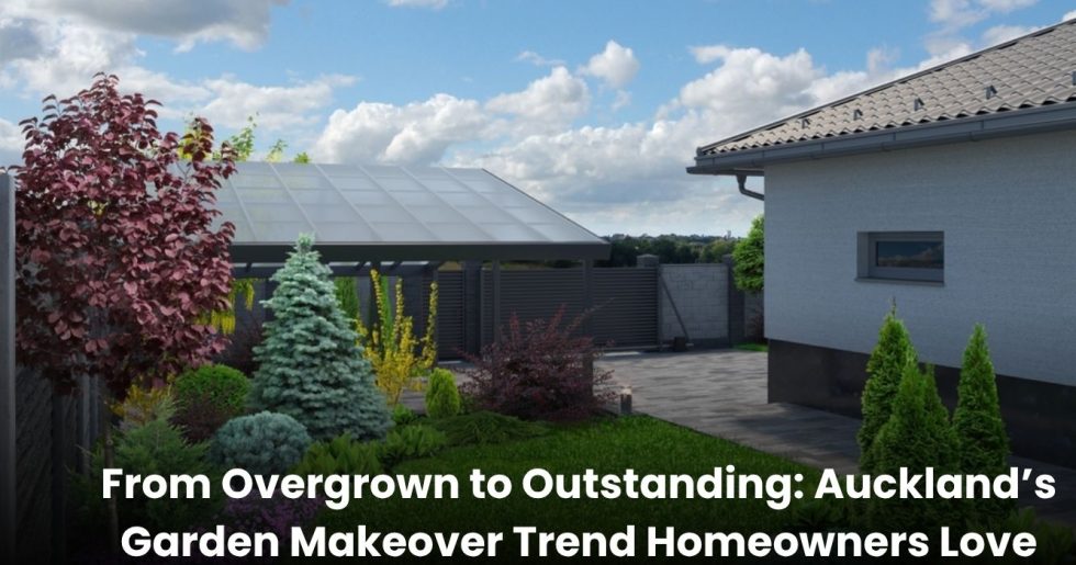 Transformed residential garden in Auckland featuring colorful shrubs, clean landscaping, and a contemporary patio space.