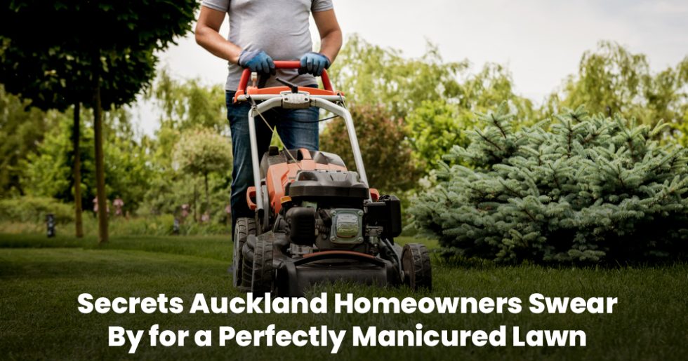 Man mowing a lush green lawn with a push mower, showcasing professional lawn mowing services in Auckland.
