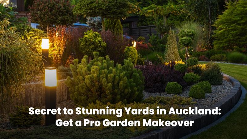 Well-lit garden with manicured shrubs and landscape lighting during a professional garden makeover in Auckland.