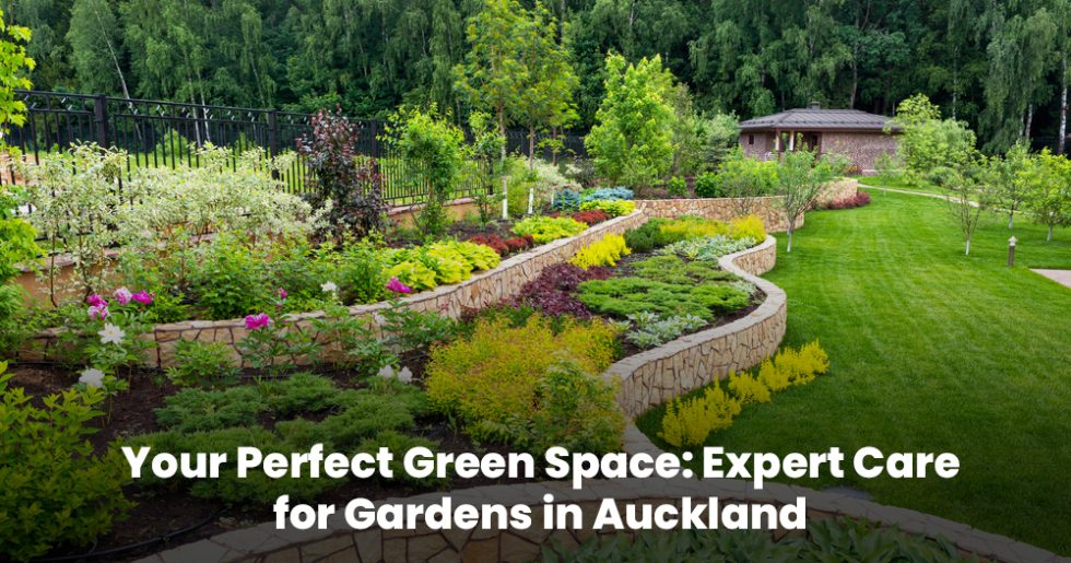 Beautifully landscaped multi-level garden with flowers, shrubs, and manicured lawn in Auckland.