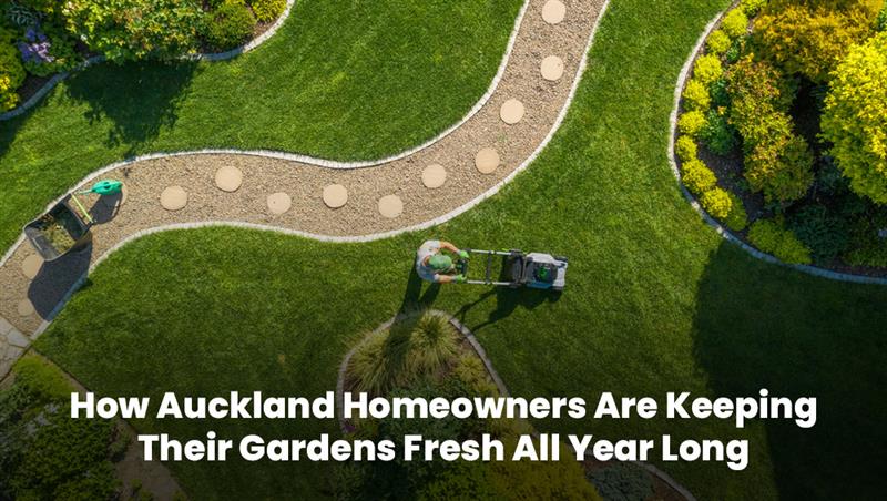 Aerial view of a person mowing a well-maintained garden in Auckland surrounded by fresh greenery.