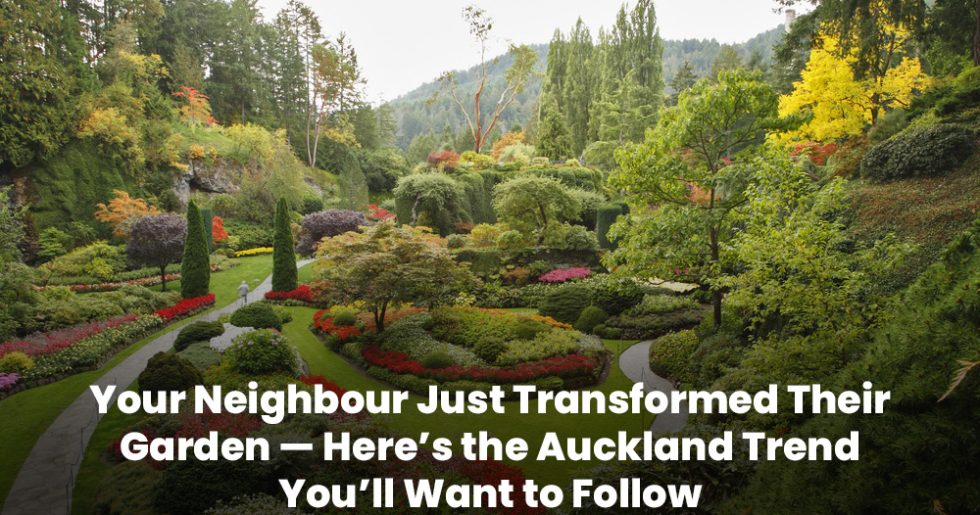 Vibrant landscaped garden with curved paths, colourful flower beds, and lush greenery in Auckland.