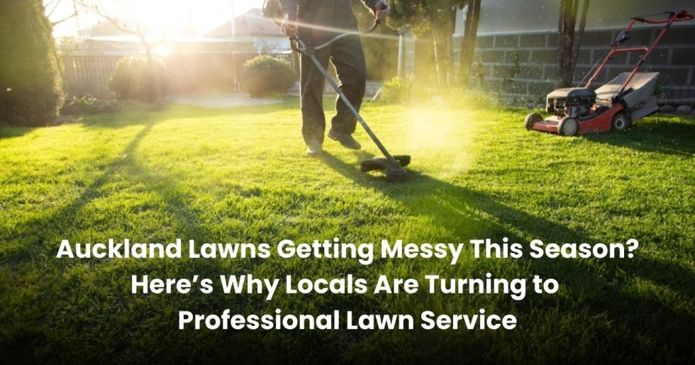 Gardener using a trimmer on a sunny lawn with a lawnmower in the background, showcasing professional lawn service in Auckland.