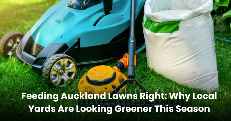 Fertilizer bag, sprinkler, and blue lawn mower placed on green grass in an Auckland backyard.