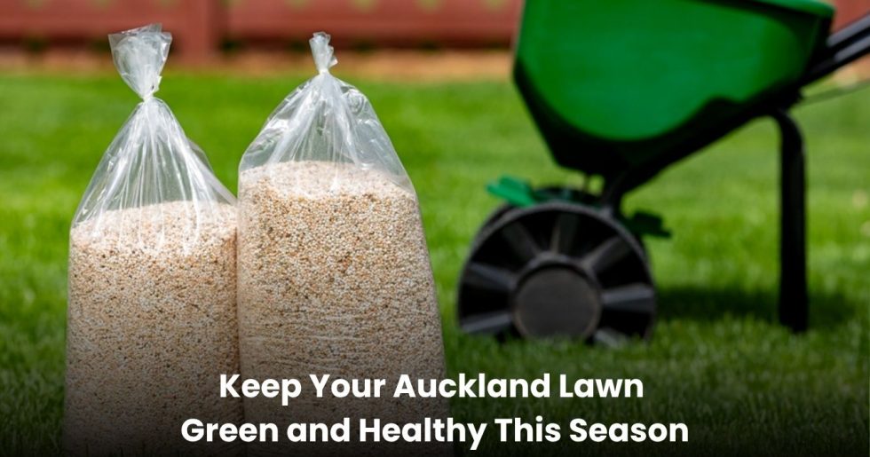 Two bags of lawn fertilizer placed on green grass with a spreader in the background, representing lawn fertilizing services in Auckland.