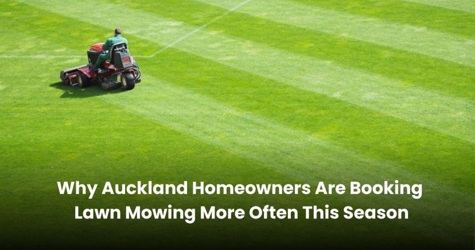 Worker riding a lawn mower cutting large green grass field in Auckland, representing regular lawn mowing services.