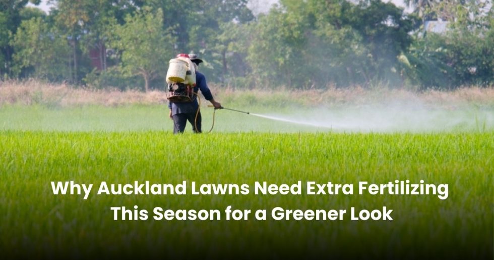 Auckland lawn care worker spraying fertilizer on a large green field to promote lush and healthy grass growth.