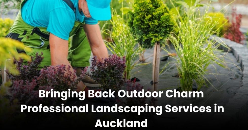 Professional landscaper planting shrubs and trees during a garden makeover in Auckland.