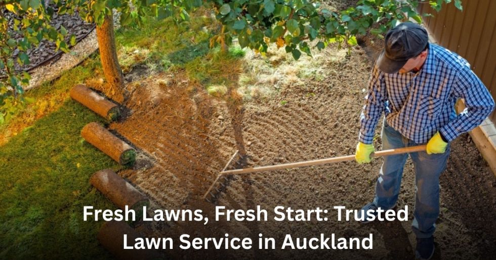 Worker raking soil and preparing to lay fresh lawn rolls in an Auckland backyard