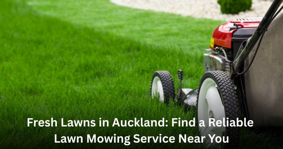 Close-up of a lawn mower cutting lush green grass in Auckland, showing reliable lawn mowing service near you.