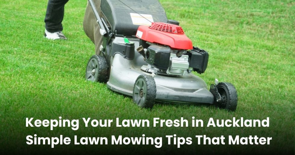 Lawn mower cutting green grass during routine lawn mowing services in Auckland.