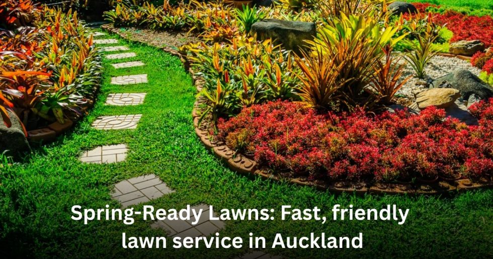 Well-maintained spring lawn with lush green grass and colorful plants in Auckland.