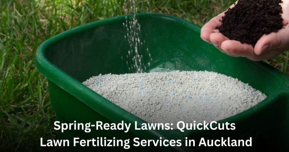 Hand holding soil and spreading lawn fertilizer granules in a green spreader in Auckland garden.