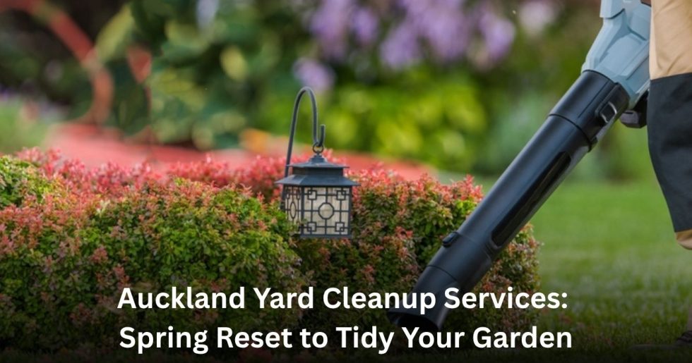 Professional yard cleanup service in Auckland using a leaf blower to tidy a landscaped garden bed during spring maintenance.