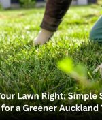 Feed Your Lawn Right: Simple Spring Tips for a Greener Auckland Yard