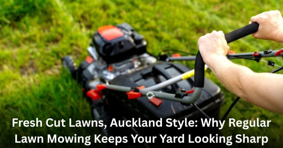 Auckland lawn mowing service with a professional using a mower on lush green grass to maintain a neat yard