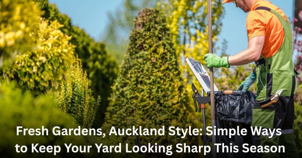 Professional gardener performing garden maintenance in Auckland, cleaning and trimming greenery for a neat and tidy outdoor look.