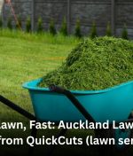 Fresh Lawn, Fast: Auckland Lawn Care Tips from QuickCuts (lawn service)