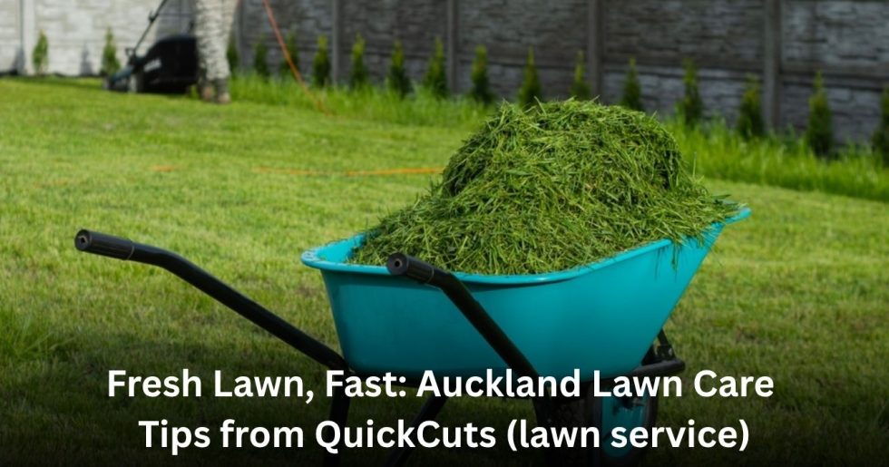 Wheelbarrow filled with freshly cut grass on a neatly mowed Auckland lawn with a gardener mowing in the background.