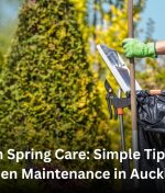 Fresh Spring Care: Simple Tips for Garden Maintenance in Auckland