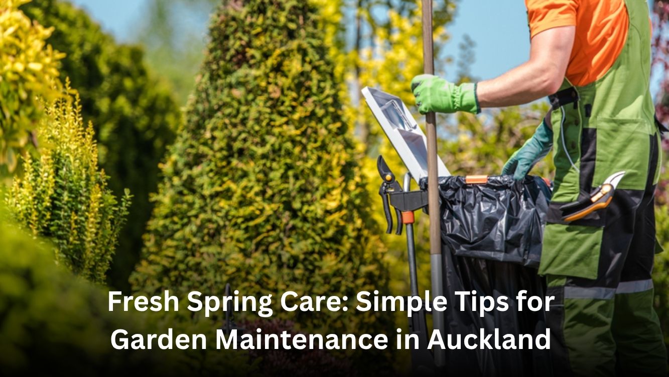 Fresh Spring Care: Simple Tips for Garden Maintenance in Auckland