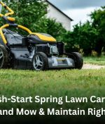 Fresh-Start Spring Lawn Care — Auckland Mow & Maintain Right Now