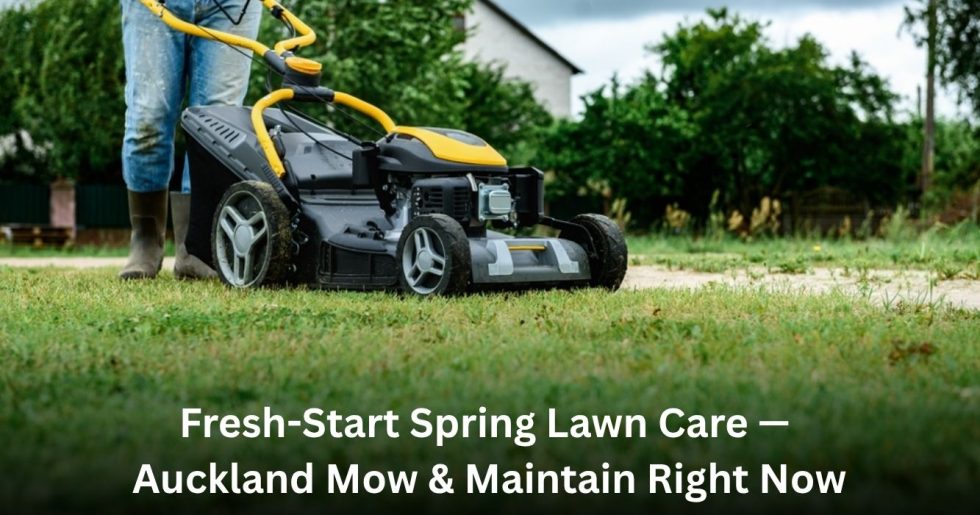 Person mowing a green lawn with a modern yellow and black lawn mower during spring in Auckland.
