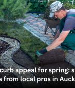 Fresh curb appeal for spring: simple ideas from local pros in Auckland