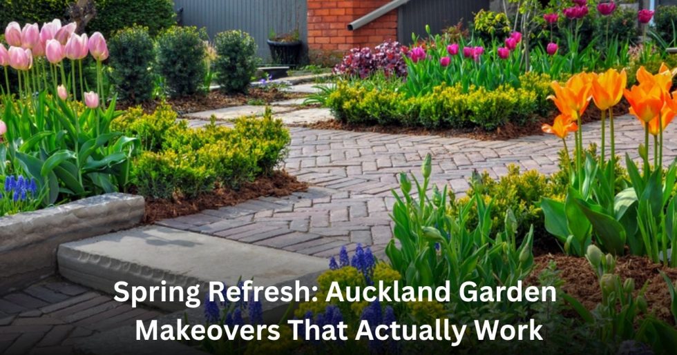 Beautifully landscaped Auckland garden with blooming tulips, brick pathway, and trimmed hedges showcasing a professional garden makeover.