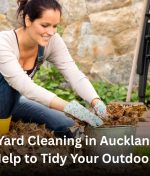 Spring Yard Cleaning in Auckland: Fast, Local Help to Tidy Your Outdoor Space