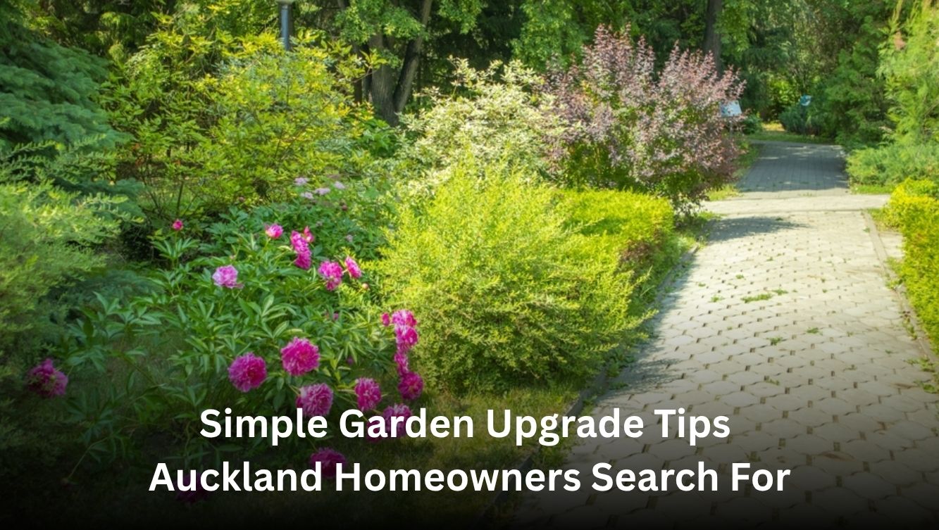 Simple Garden Upgrade Tips Auckland Homeowners Search For