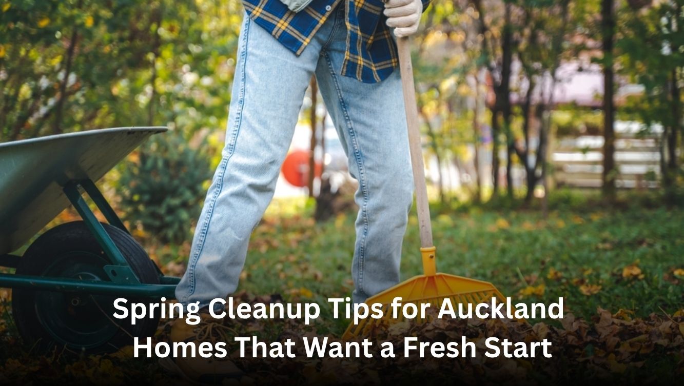 Spring Clean Uo Spring Cleanup Tips for Auckland Homes That Want a Fresh Start