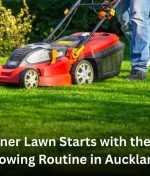 A Cleaner Lawn Starts with the Right Mowing Routine in Auckland