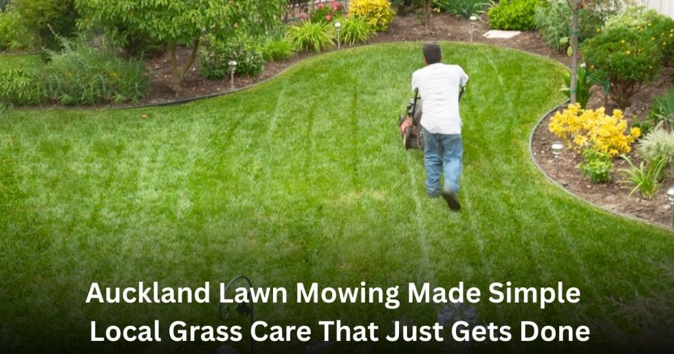 Professional lawn mowing service maintaining a curved residential lawn in Auckland
