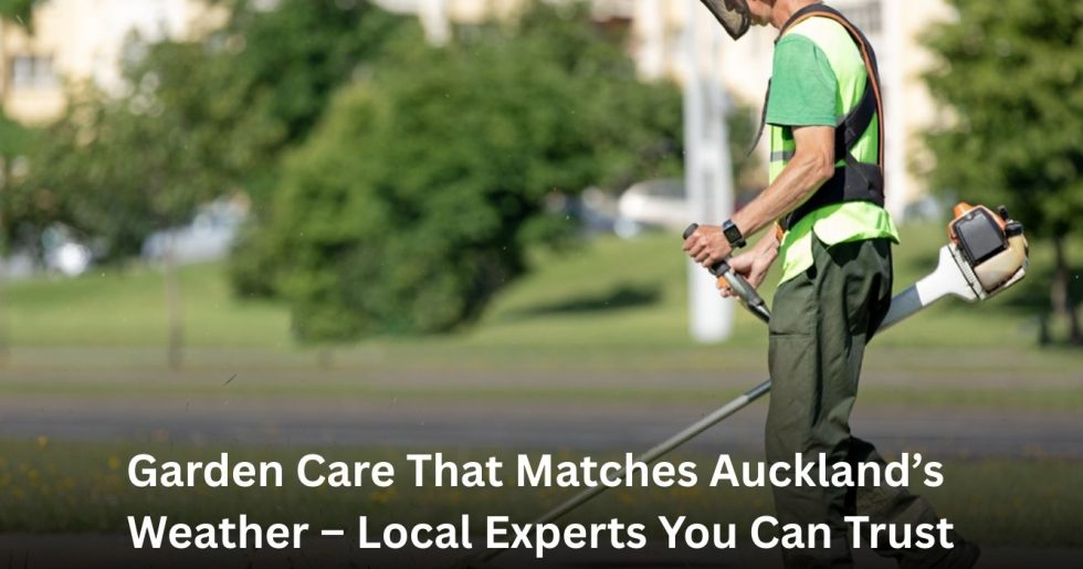 Professional gardener using a line trimmer for seasonal garden care in Auckland