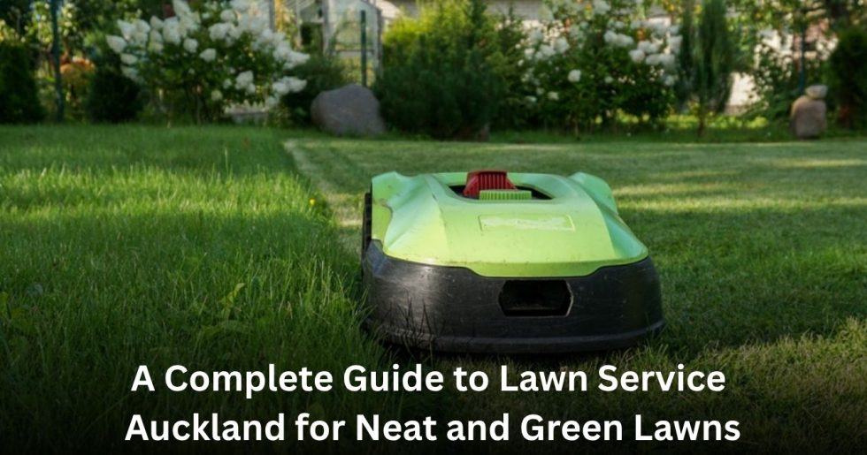 robotic lawn mower cutting grass in residential garden Auckland NZ.