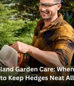 Auckland Garden Care: When and How to Keep Hedges Neat All Year