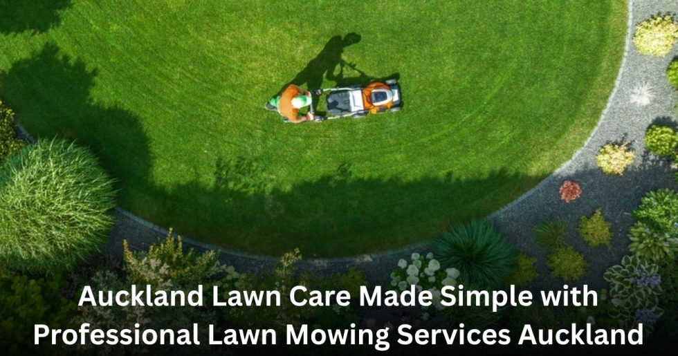top view of lawn mowing service maintaining curved green lawn Auckland