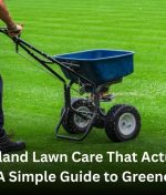 Auckland Lawn Care That Actually Works – A Simple Guide to Greener Grass