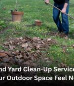 Auckland Yard Clean-Up Services That Make Your Outdoor Space Feel New Again