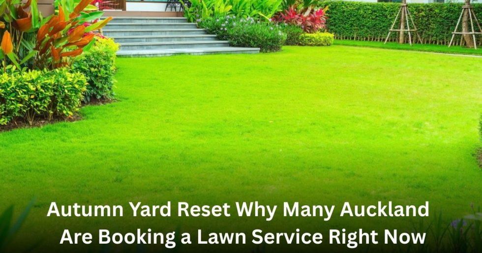 Fresh green lawn and landscaped garden during autumn yard reset in Auckland