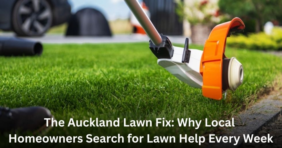 Lawn edging with a grass trimmer during a weekly lawn care service in Auckland