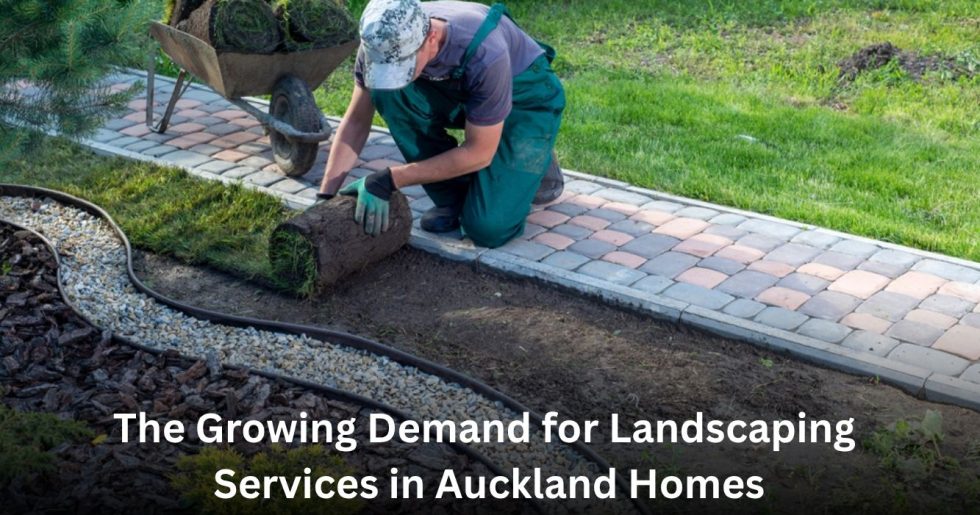 landscaper laying fresh turf along garden pathway in Auckland NZ