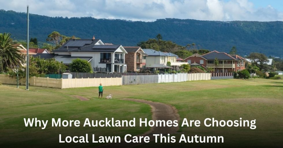 Residential lawns and homes in Auckland showing local lawn care maintenance in autumn