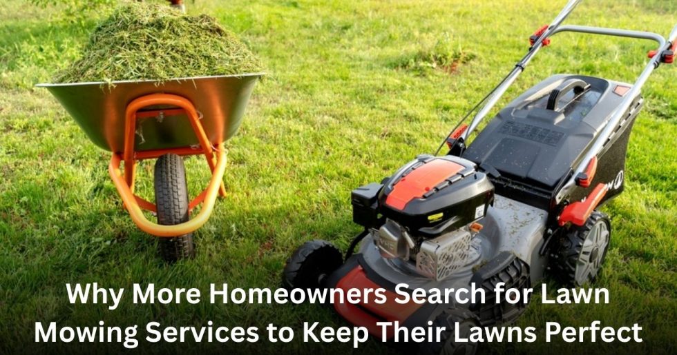 Lawn mower and wheelbarrow with cut grass during lawn mowing service in Auckland