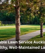 Affordable Lawn Service Auckland for Healthy, Well-Maintained Lawns
